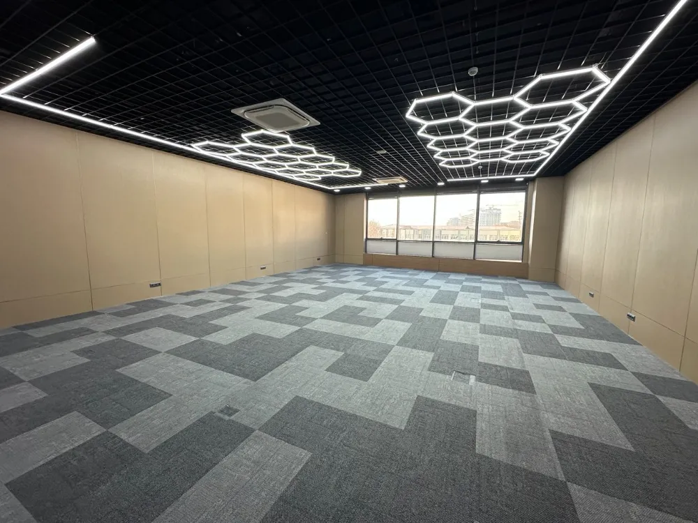Modera Towers — 4